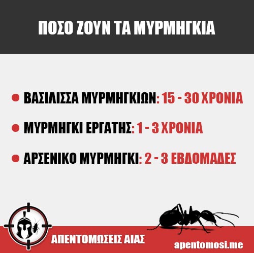 Πόσο ζουν τα μυρμήγκια Πόσο ζουν τα μυρμήγκια