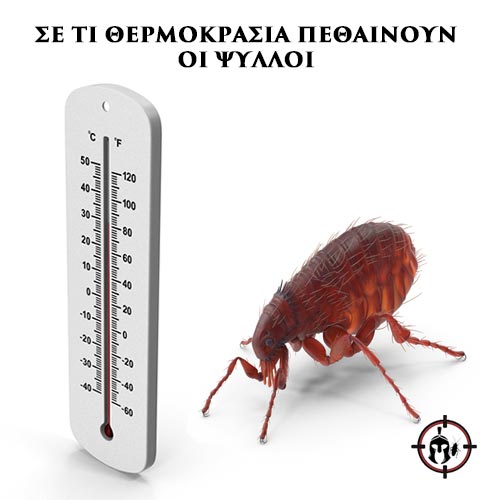 ΣΕ ΤΙ ΘΕΡΜΟΚΡΑΣΙΑ ΠΕΘΑΙΝΟΥΝ ΟΙ ΨΥΛΛΟΙ ΣΕ ΤΙ ΘΕΡΜΟΚΡΑΣΙΑ ΠΕΘΑΙΝΟΥΝ ΟΙ ΨΥΛΛΟΙ