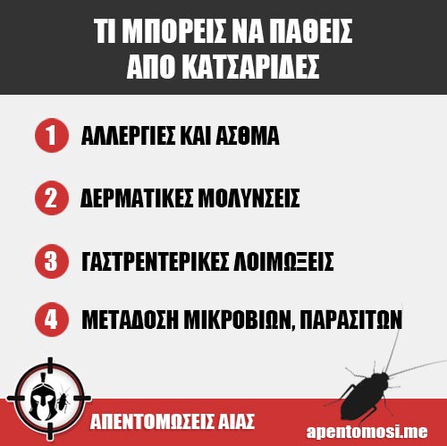ΤΙ ΜΠΟΡΕΙΣ ΝΑ ΠΑΘΕΙΣ ΑΠΟ ΚΑΤΣΑΡΙΔΕΣ ΤΙ ΜΠΟΡΕΙΣ ΝΑ ΠΑΘΕΙΣ ΑΠΟ ΚΑΤΣΑΡΙΔΕΣ
