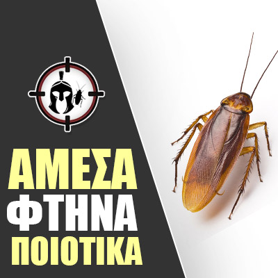ΑΠΕΝΤΟΜΩΣΕΙΣ ΝΙΚΑΙΑ ΑΠΕΝΤΟΜΩΣΕΙΣ ΝΙΚΑΙΑ